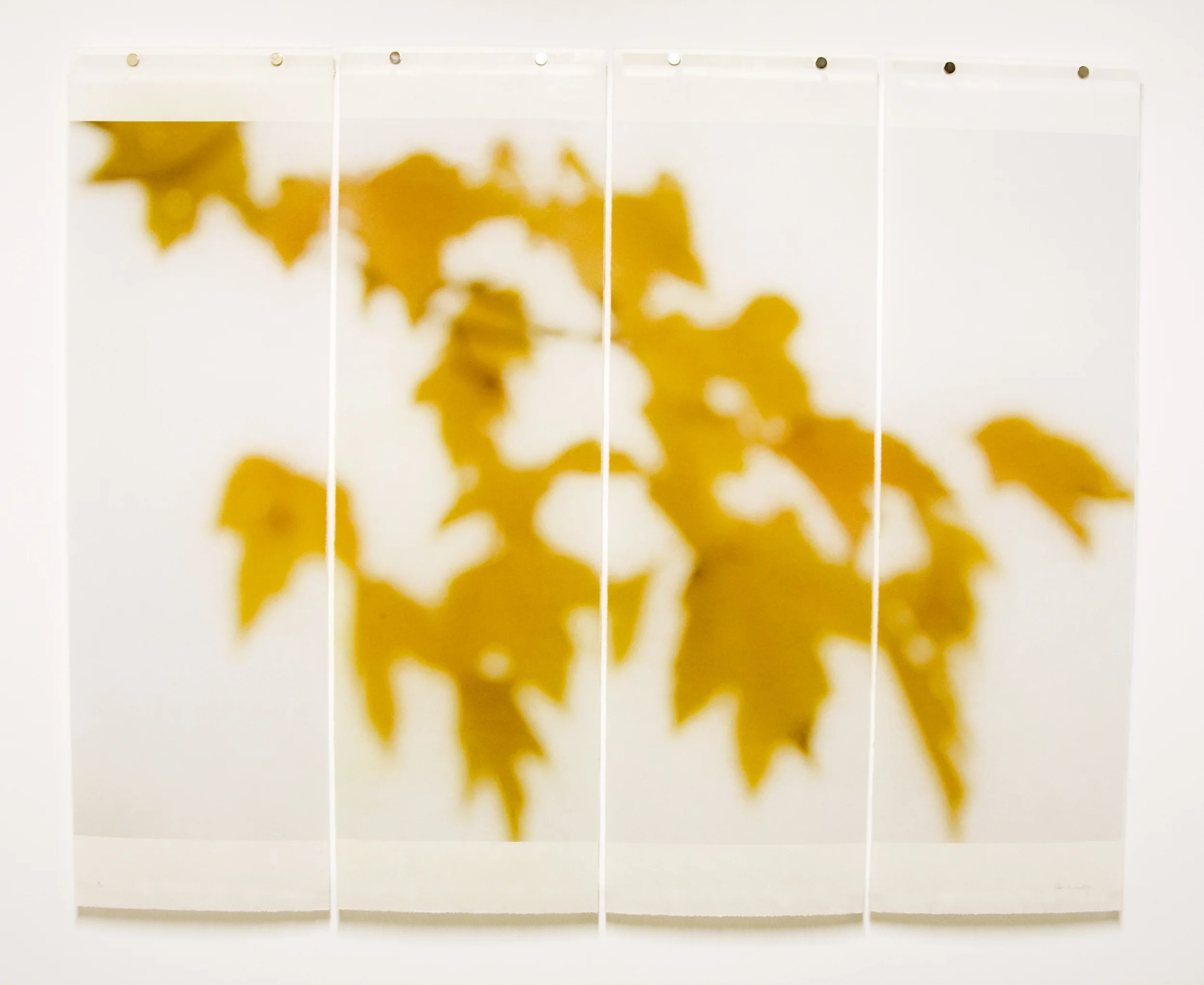 After Equinox — Jeri Eisenberg