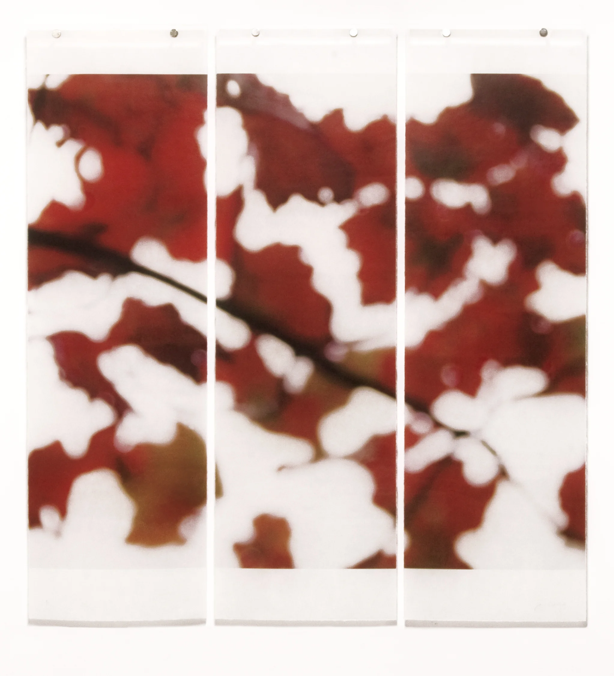 Autumn Splash, No.2