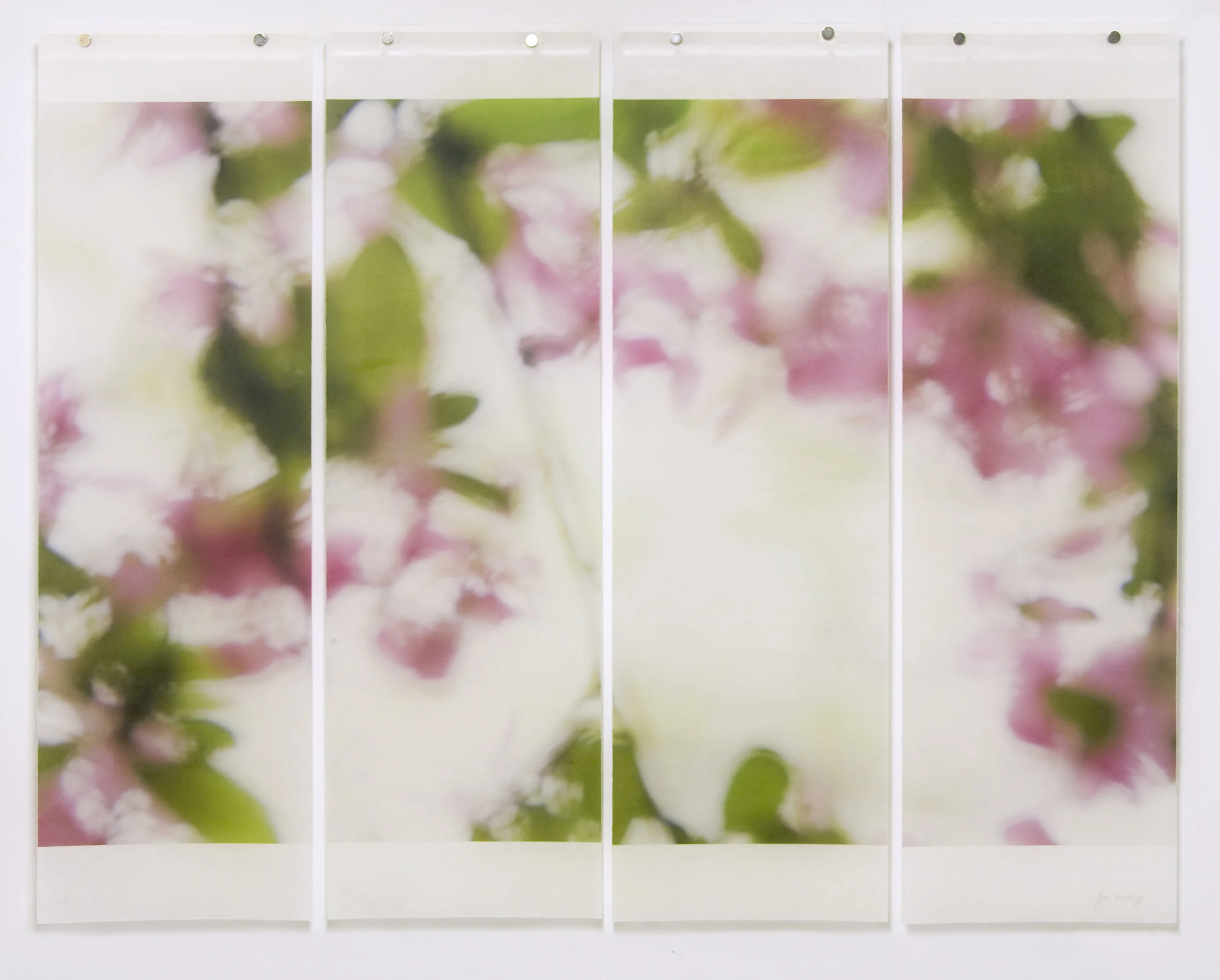 Shivering Crabapple, No.7