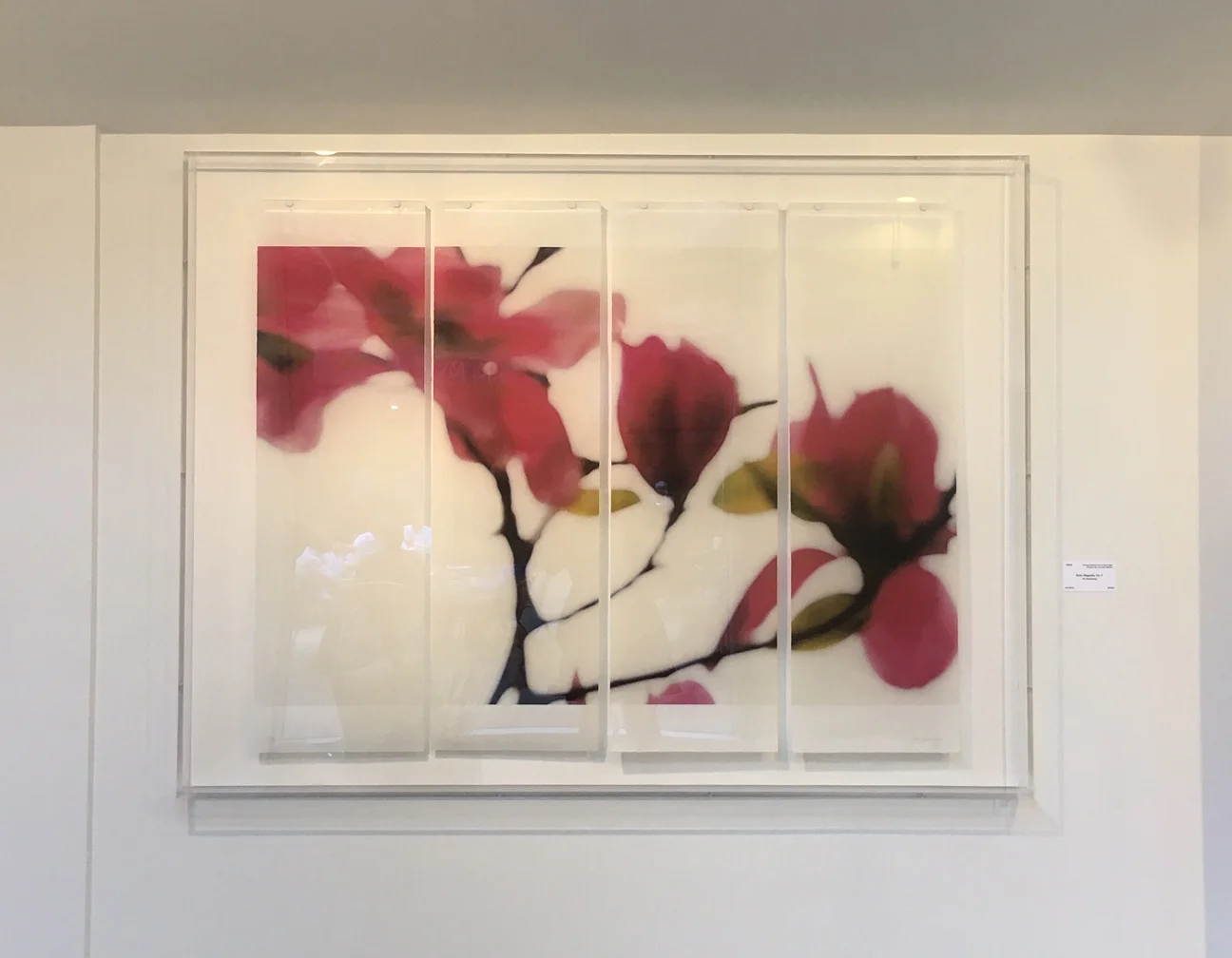 Ruby Magnolia, No.4, 36” x 45.5”, pigment ink on Japanese Kozo with encaustic medium