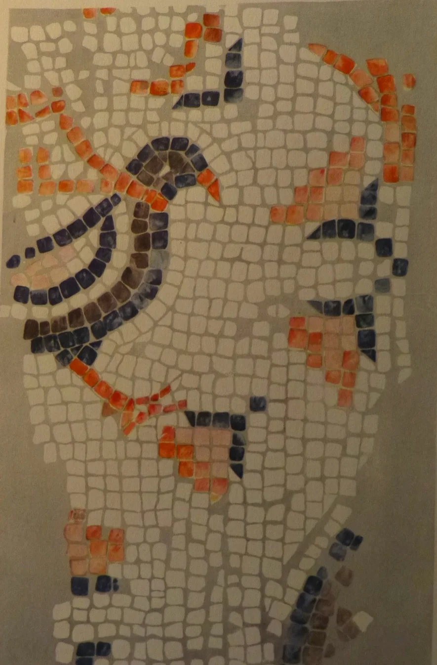 Drawing of Floor Mosaic with Birds