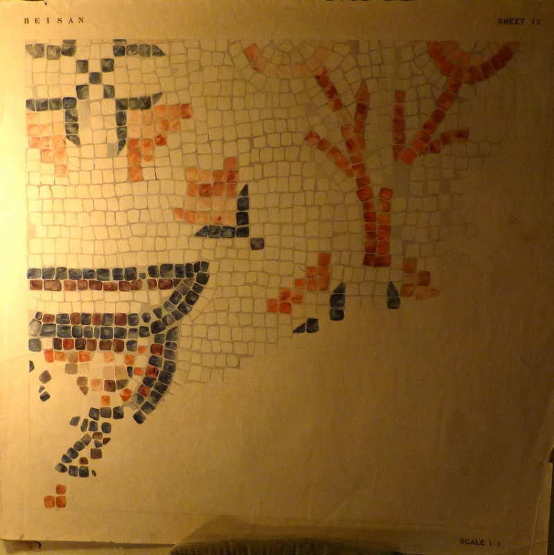 1:1 Scale drawing of mosaic