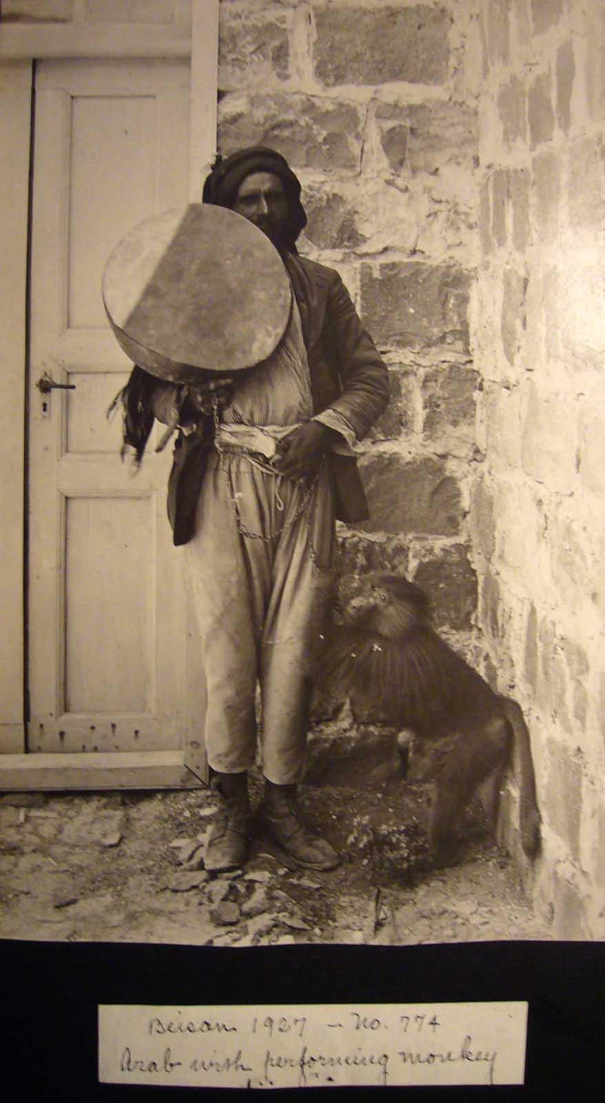 Arab with performing monkey