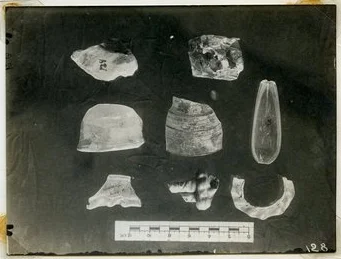 Photograph of glass fragments, including the spoon, from the vicinity of the south end of the Summit.