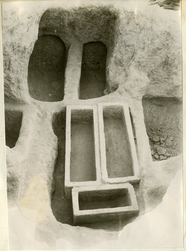 View of Tomb 295, looking northeast.