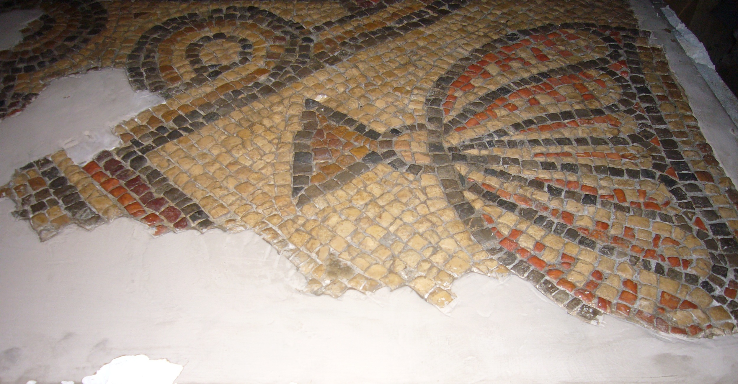 Amphora Detail