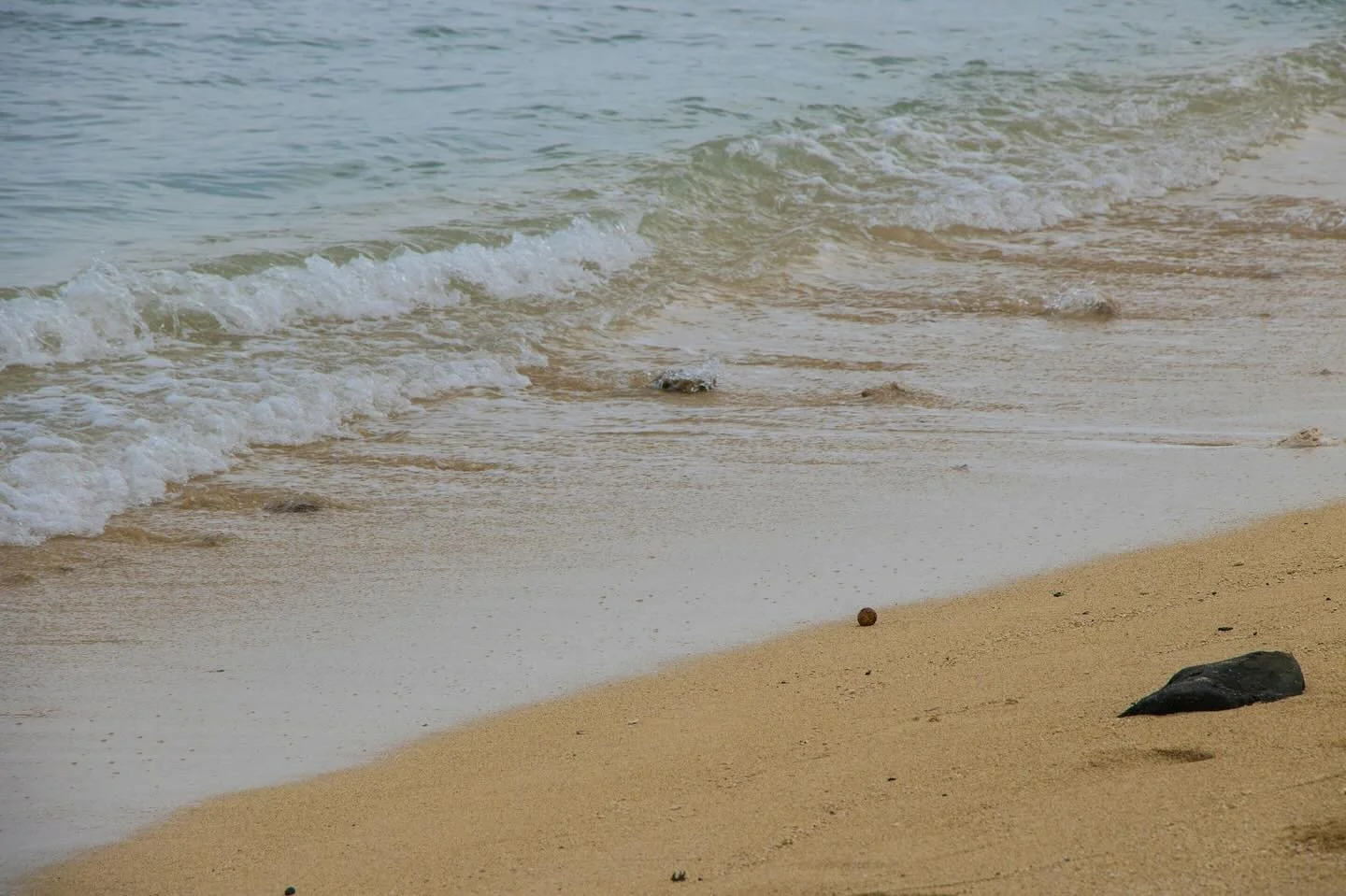 Your moment of peace. The quiet beauty of a shoreline, the inspiration for our softest shades.

#LACCBeauty #Inspiration #Beach #Serene #Calm