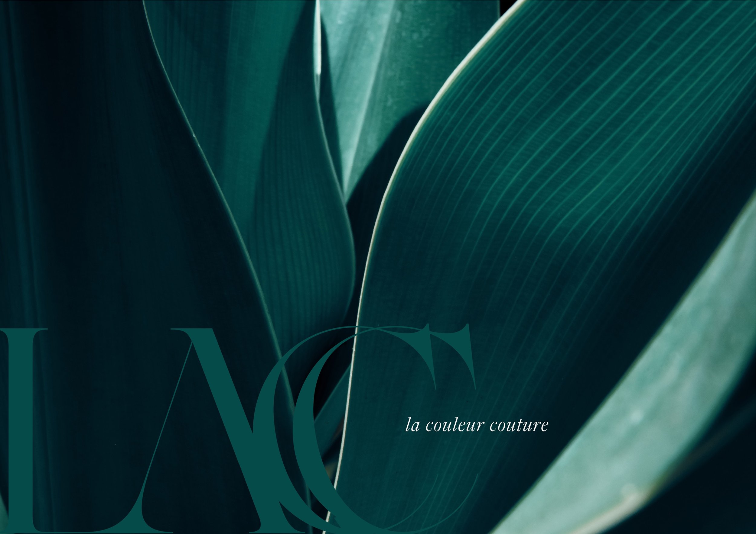 Close-up of green leaves with text overlay that reads 'la couleur couture' and large stylized letters 'D' and 'C'.