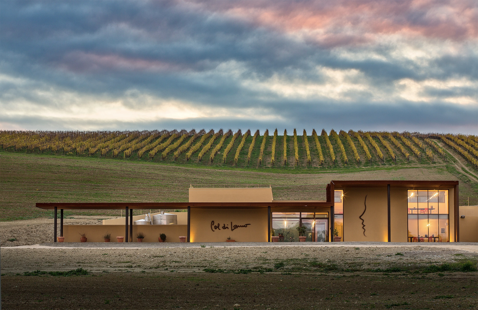 ColdiLamo_Vineyard.png