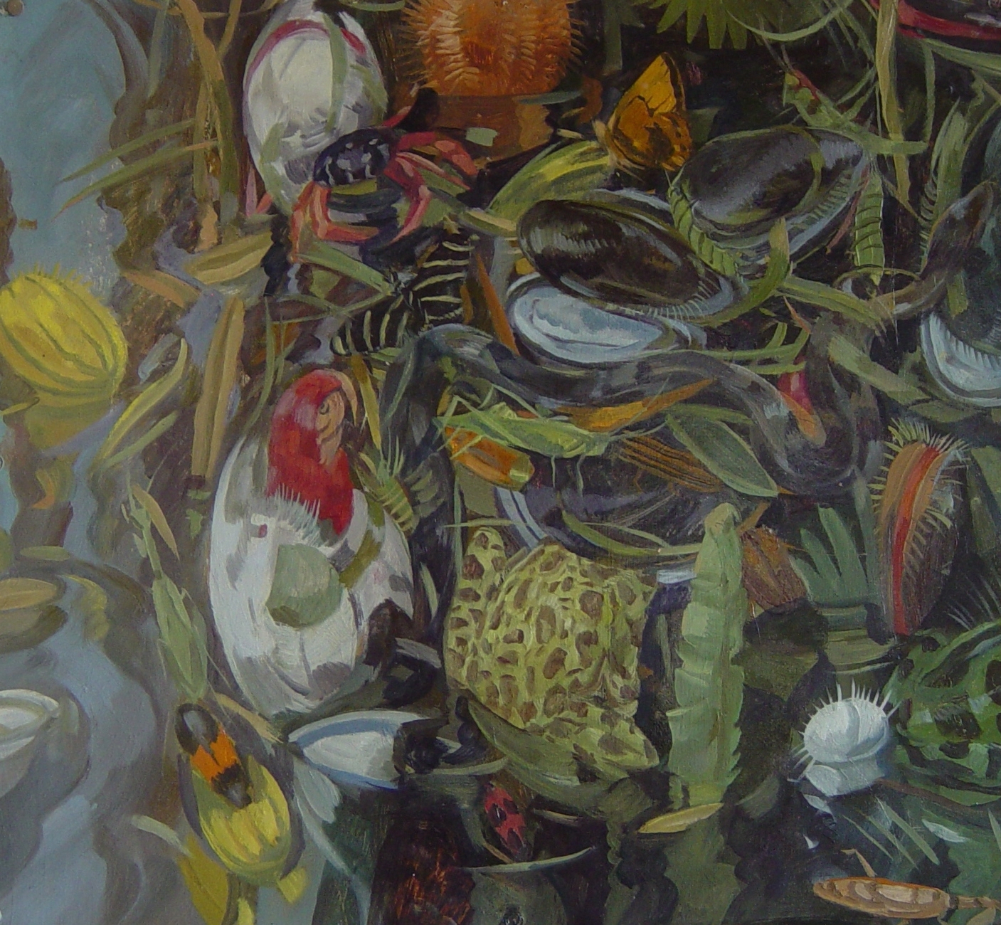 Parrot and Mussels