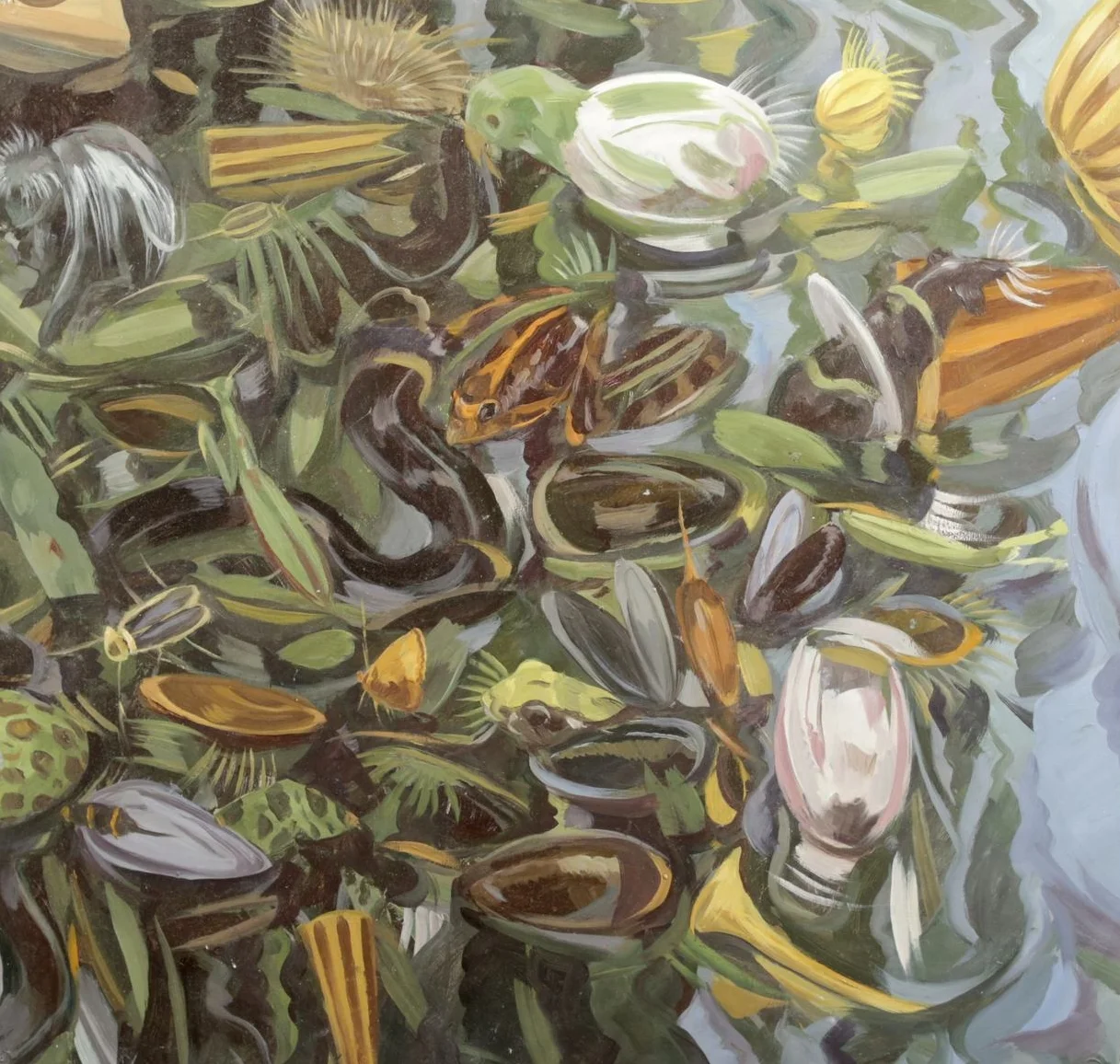 Frogs and Mussels