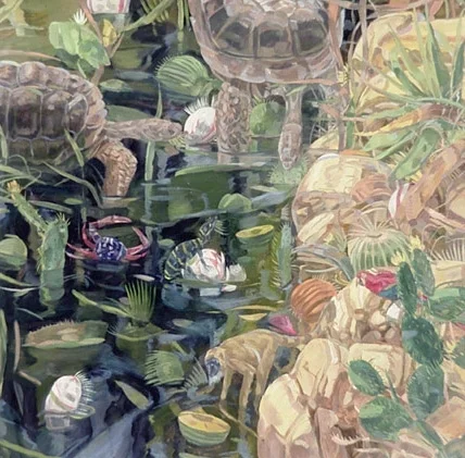 Two Tortoises
