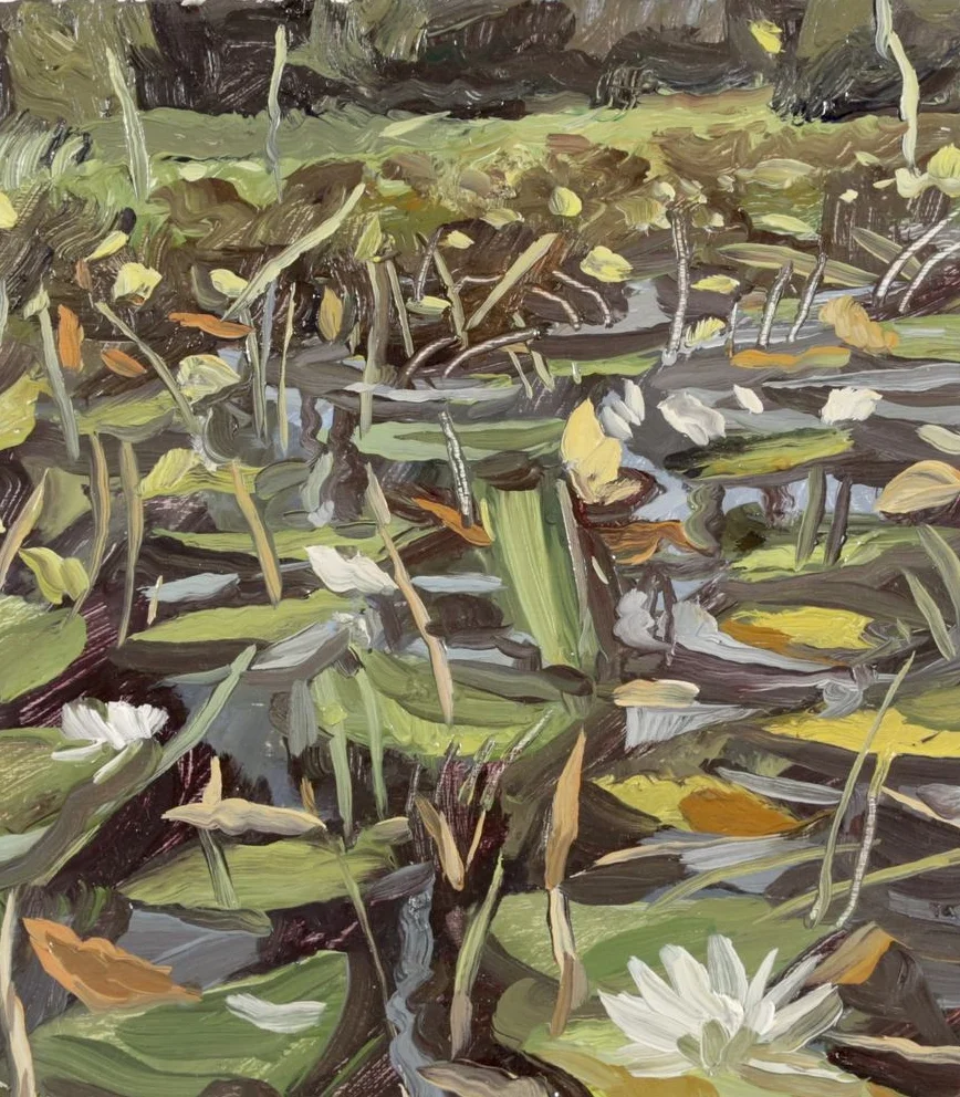 Lily Pads