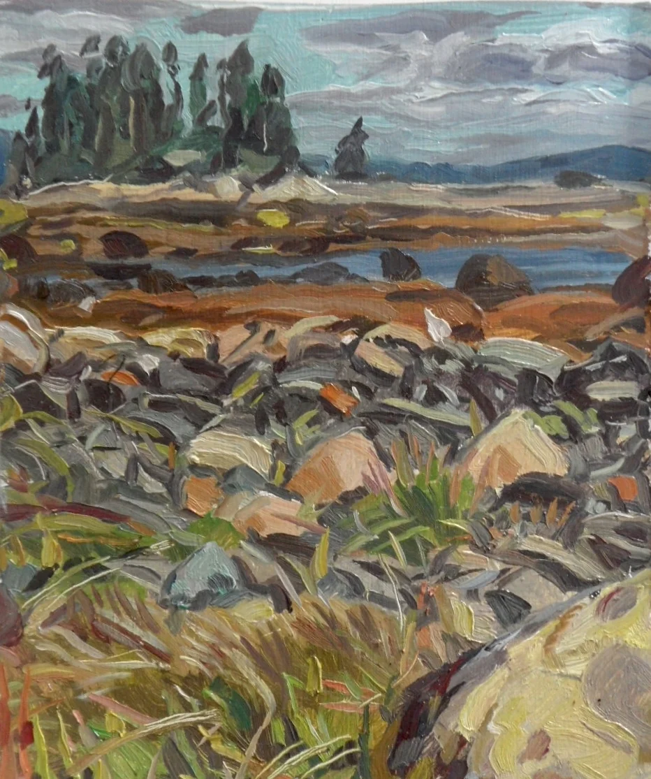 Maine Landscape