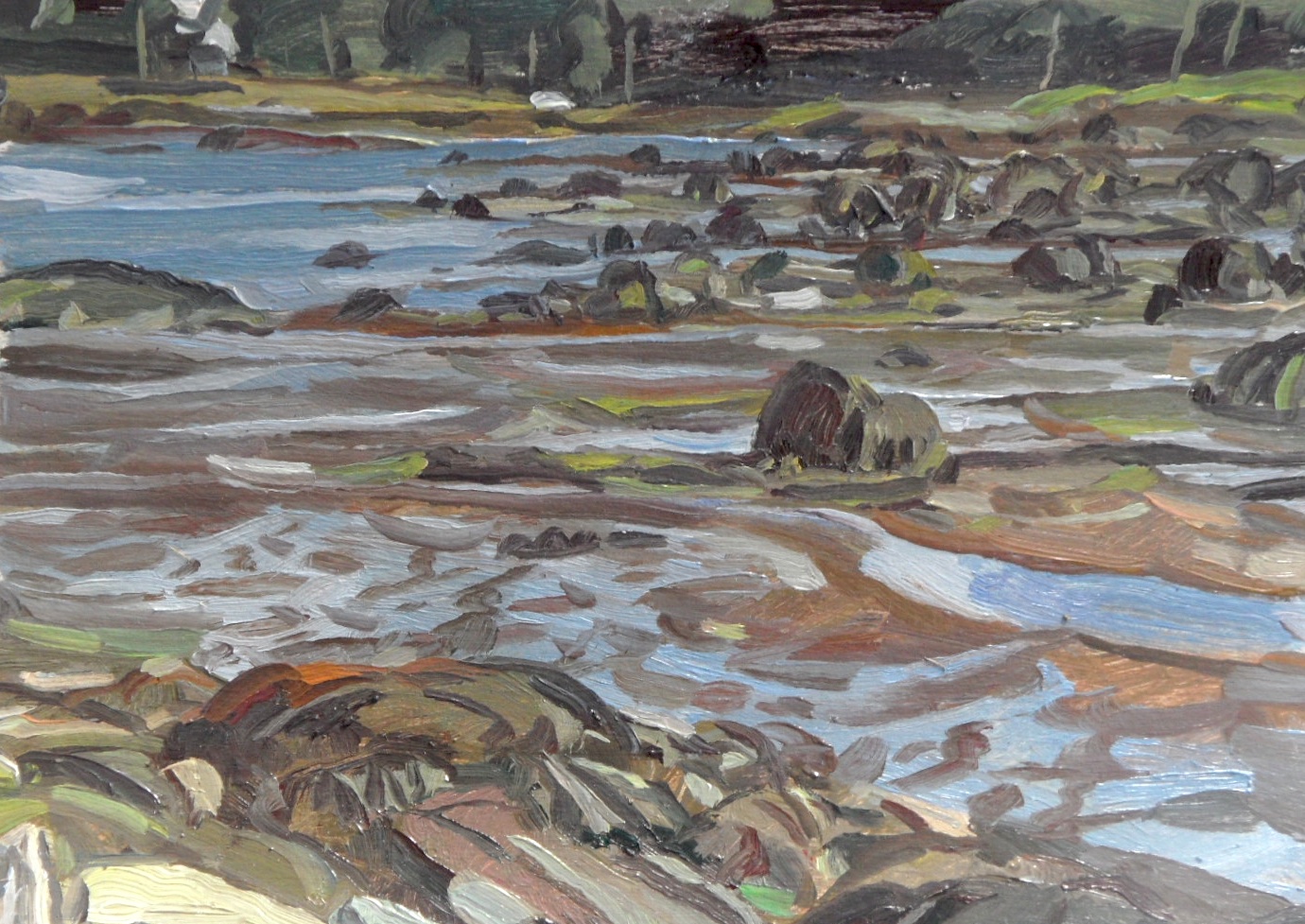 Tidal Pools