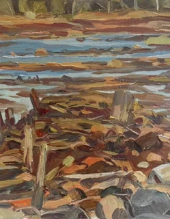 Rock in Low Tide