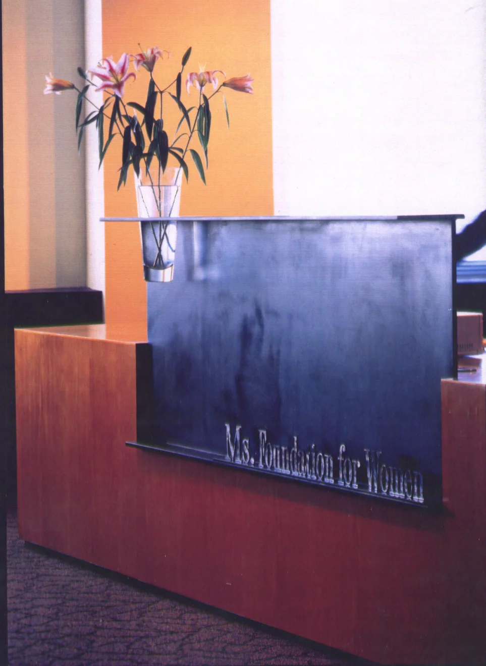 Ms Foundation 1.jpg