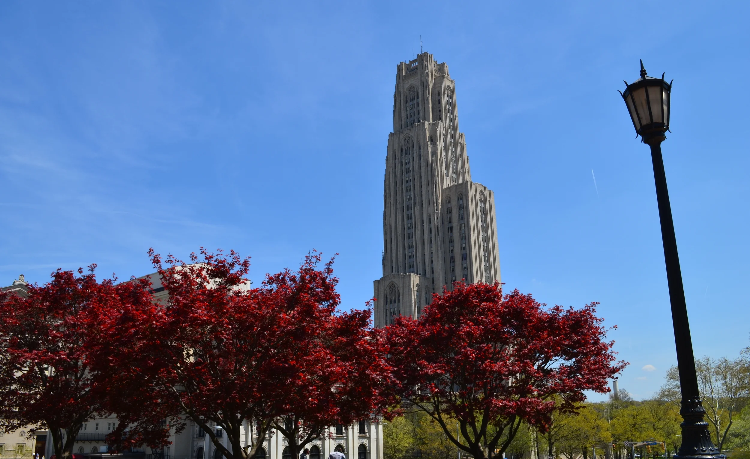 DSC_1082.JPG