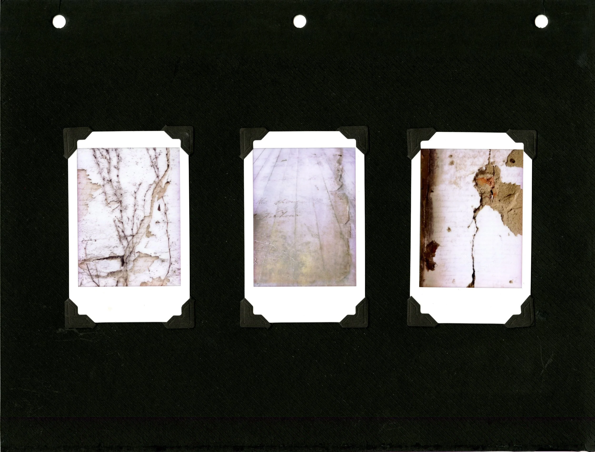 polaroid005.jpg