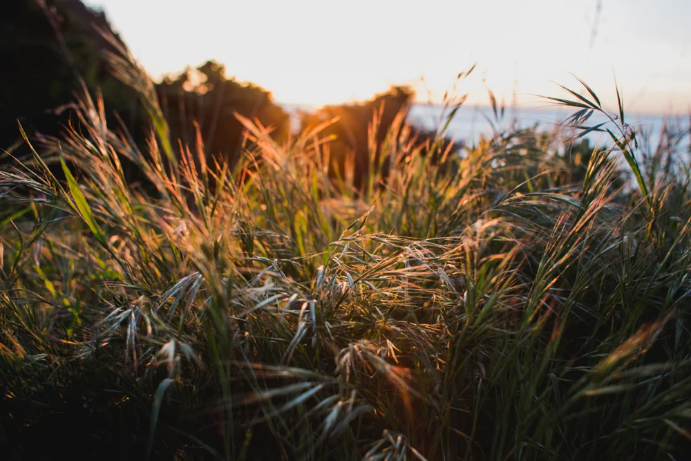 Fort Worden / Friday Harbor