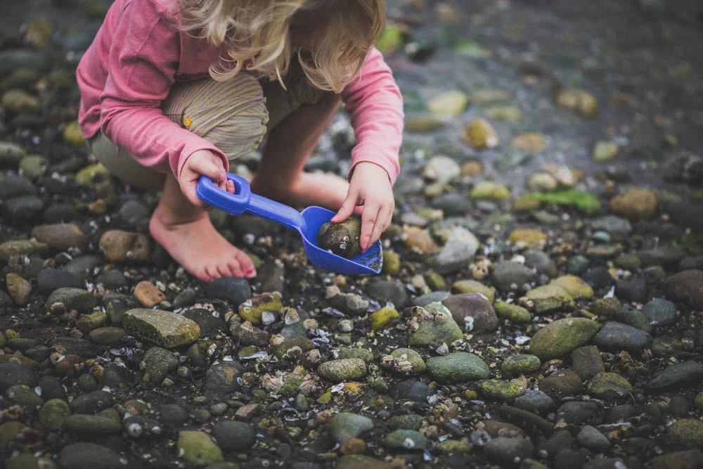 Tolmie State Park, WA