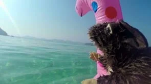 Moby "Saints" (Official Music Video)