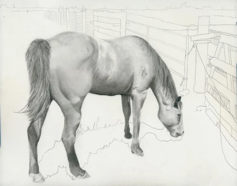 horse_final.jpg