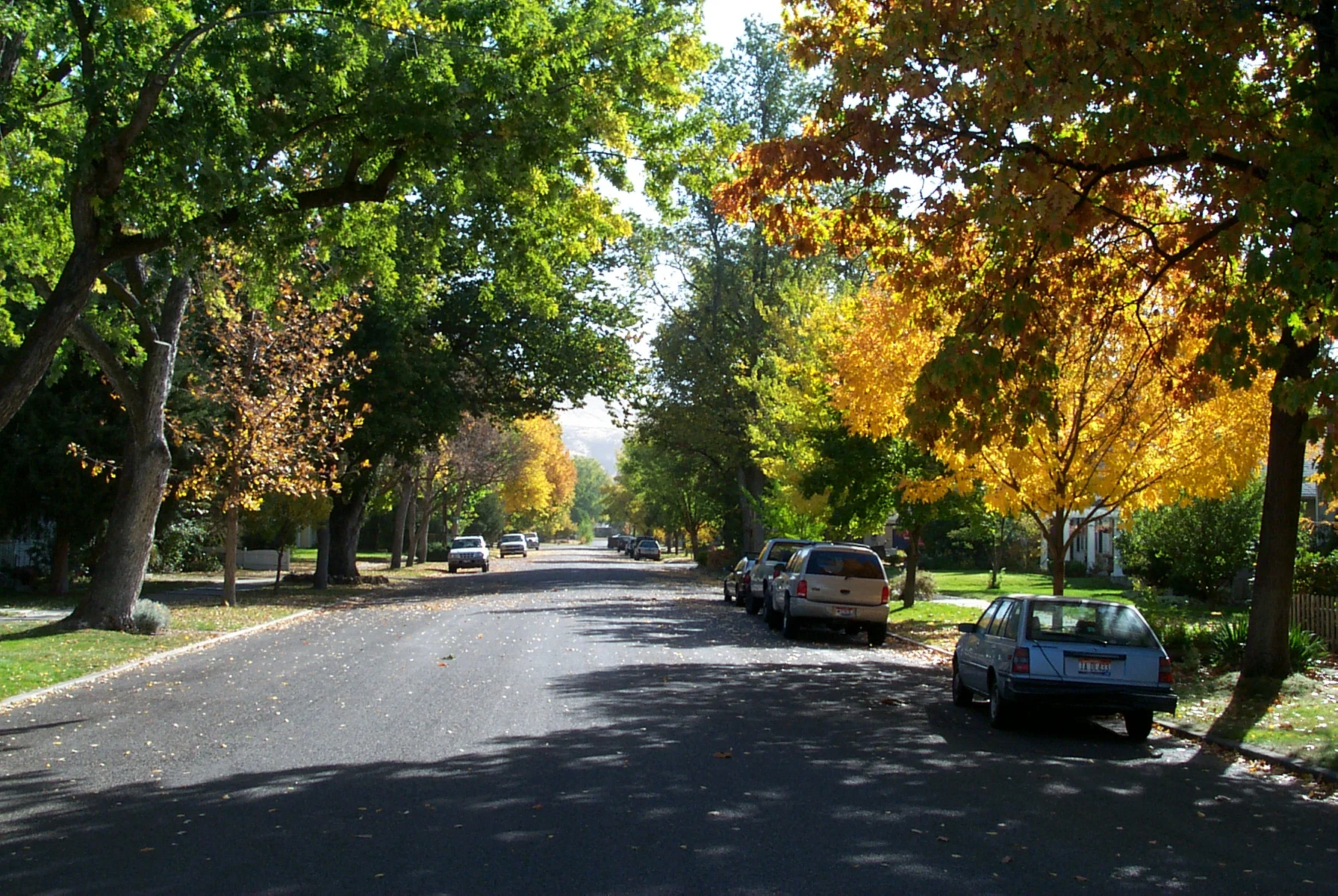 ROWSTFallStreet.jpg