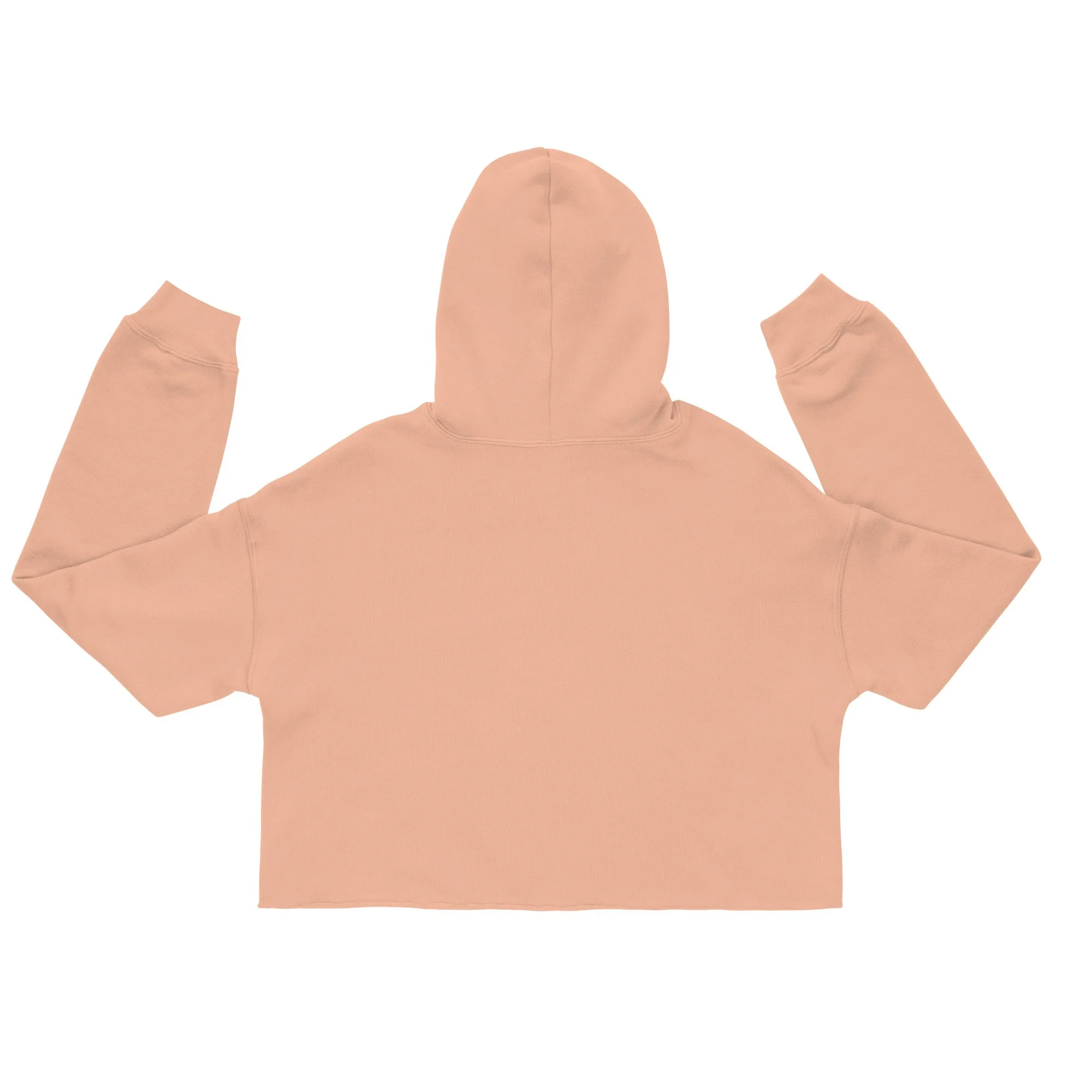 womens-cropped-hoodie-peach-back-689365cc6d40b.jpg