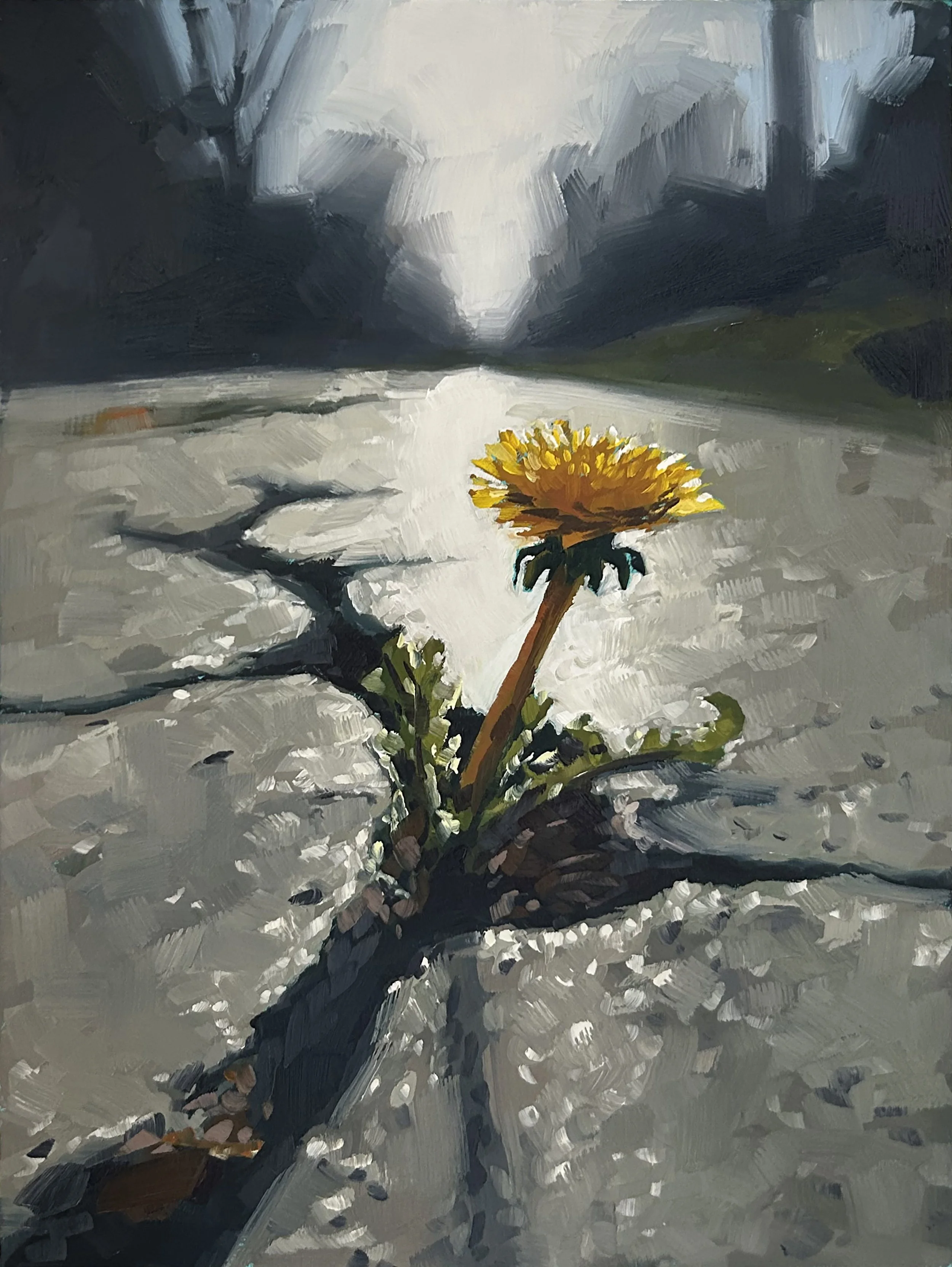 dandelion 2 copy.jpg