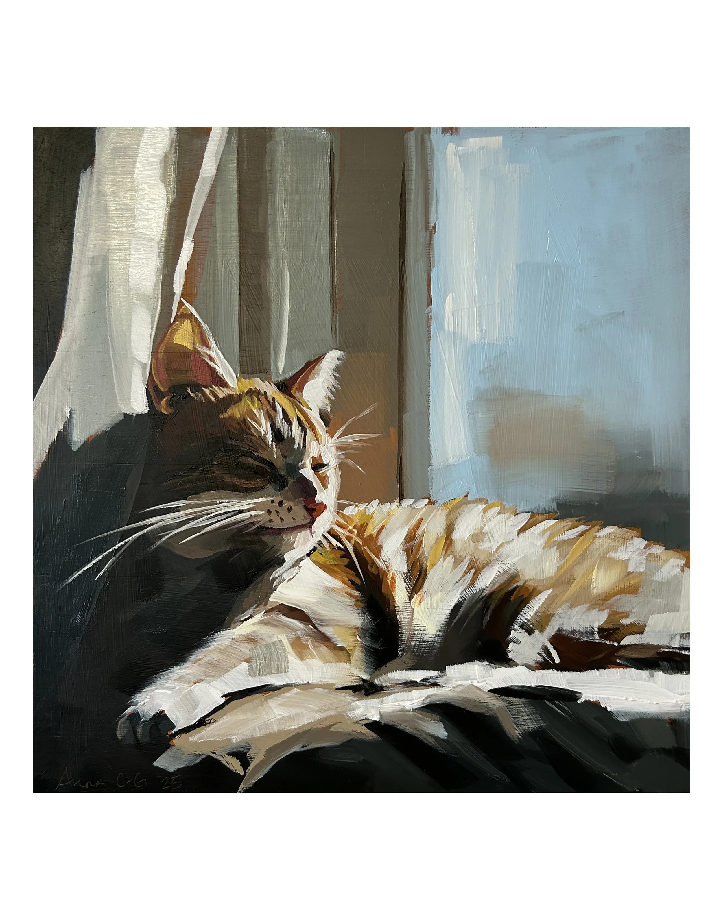 CatinSun print.jpg