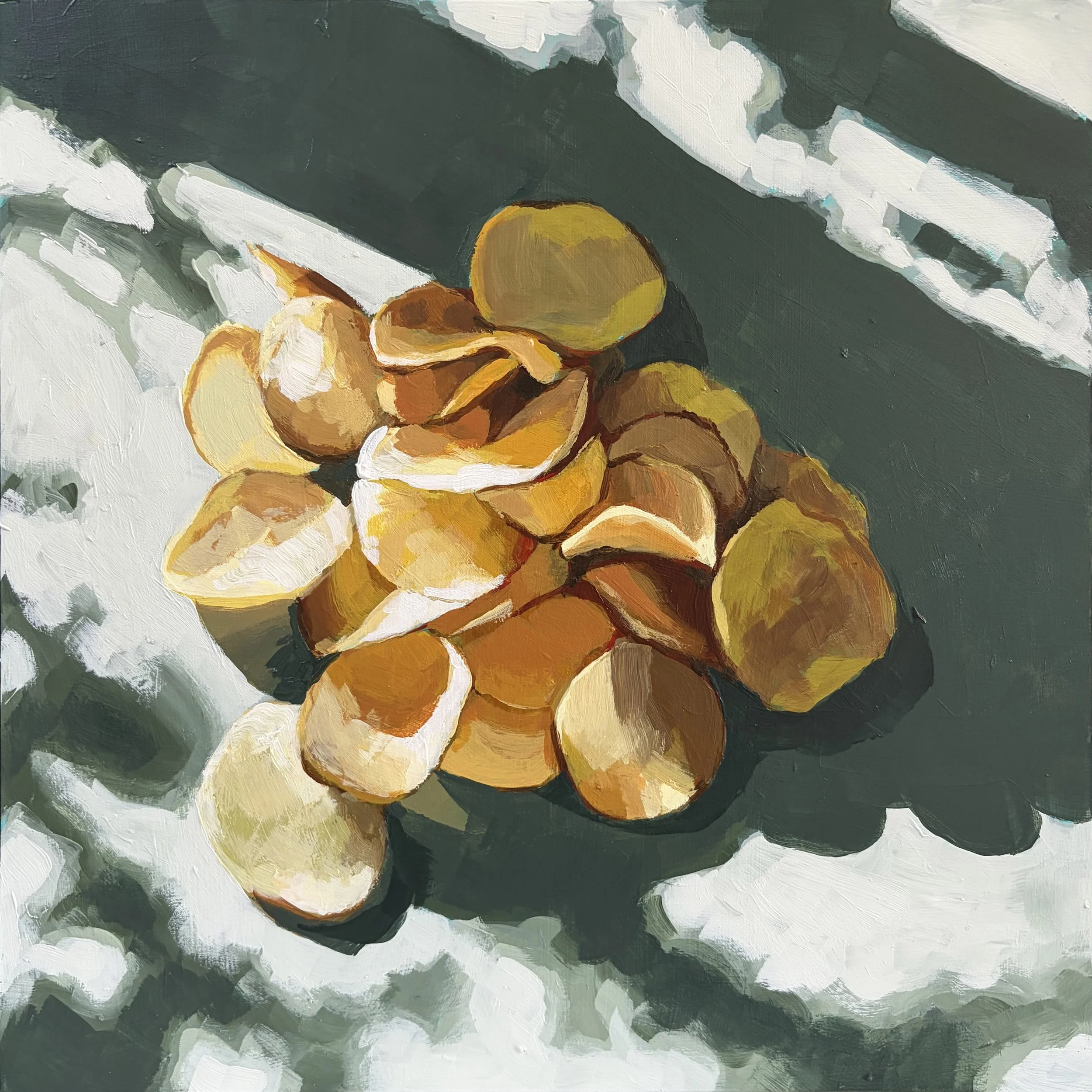 Chips 1