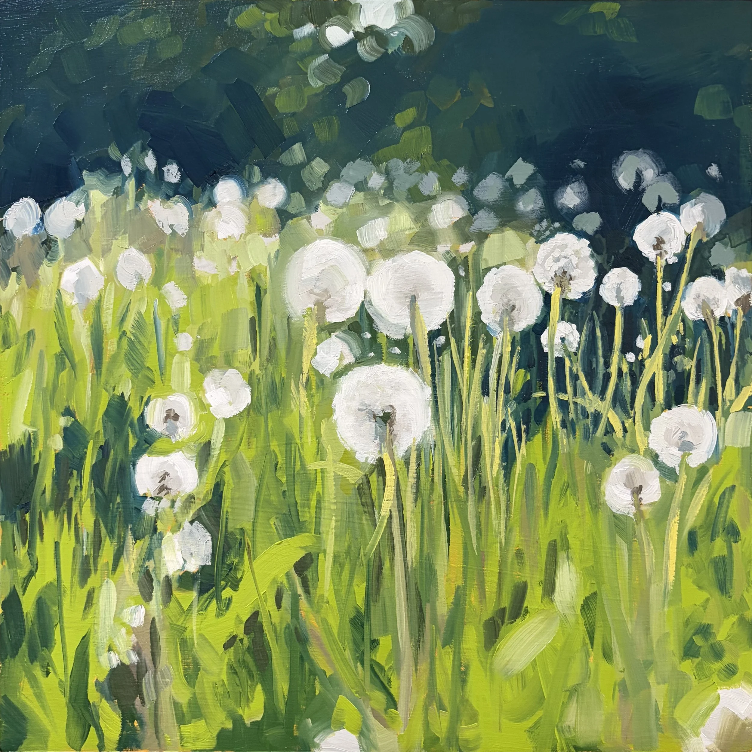dandelions3.jpg