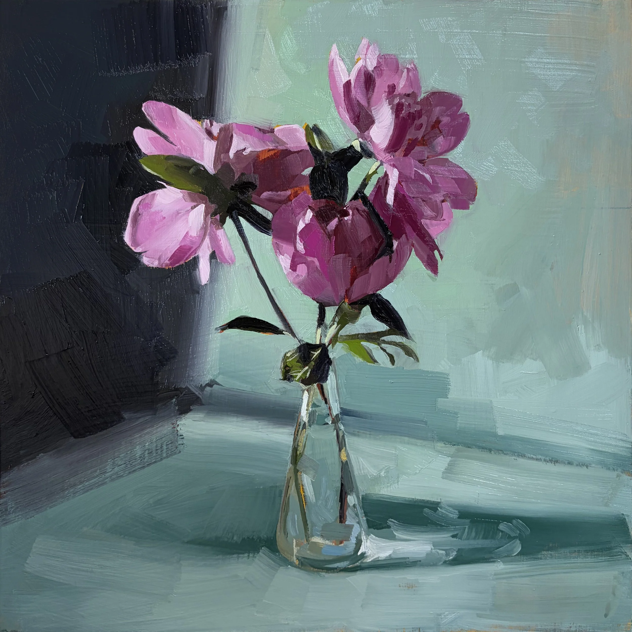 my peonies.jpg