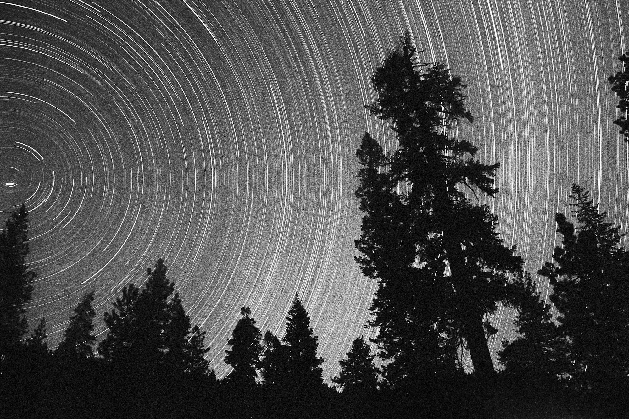 tree_longexposure_working.jpg