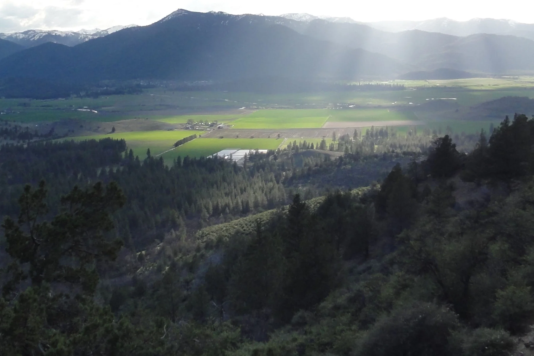 Clouds & Sun_Matts(header).jpg