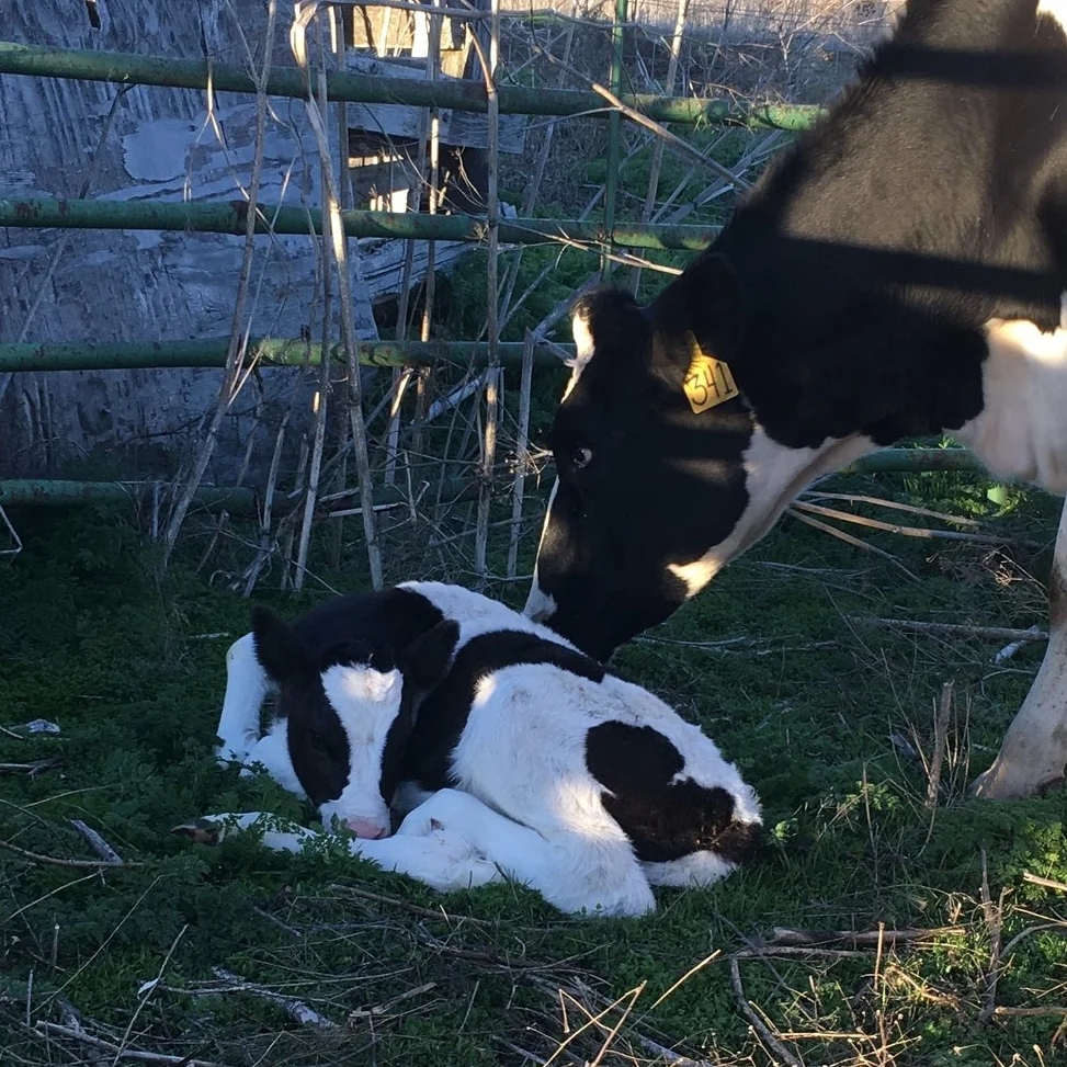 The Birth of "Hole in the Sky" 