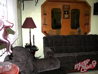 Recepción (vista complementaria), donde nuestros visitantes , hacen cómoda antesala.