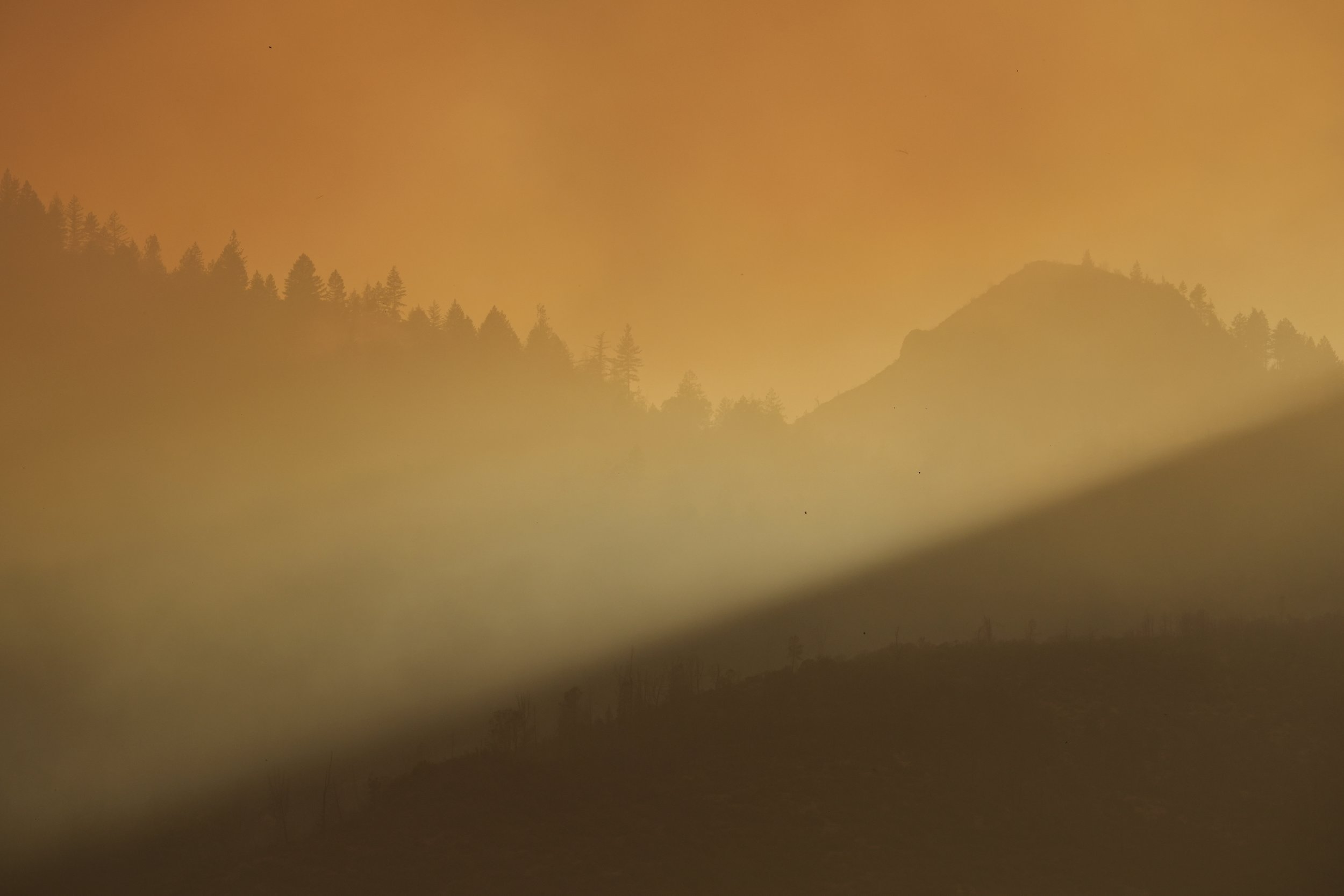  Sunlight cuts through smoke from the Pickett fire on Friday, Aug. 22, 2025, in Napa County, Calif. (AP Photo/Godofredo A. Vásquez) 