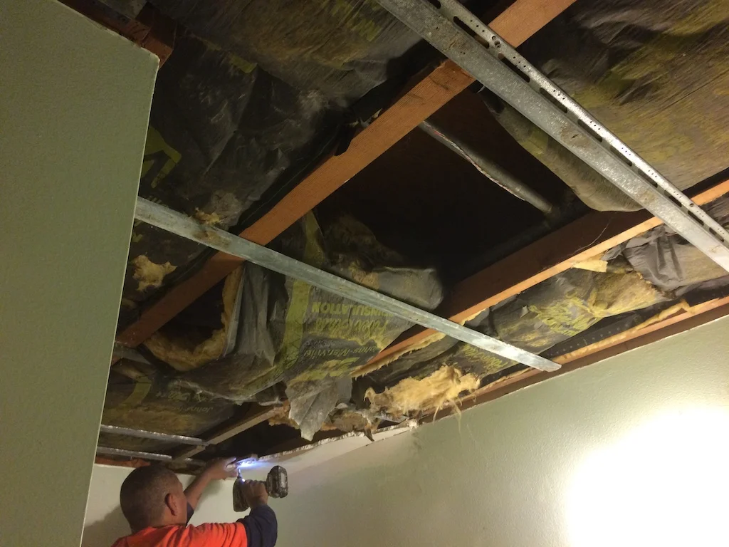 Remove Mildewed Wallboard
