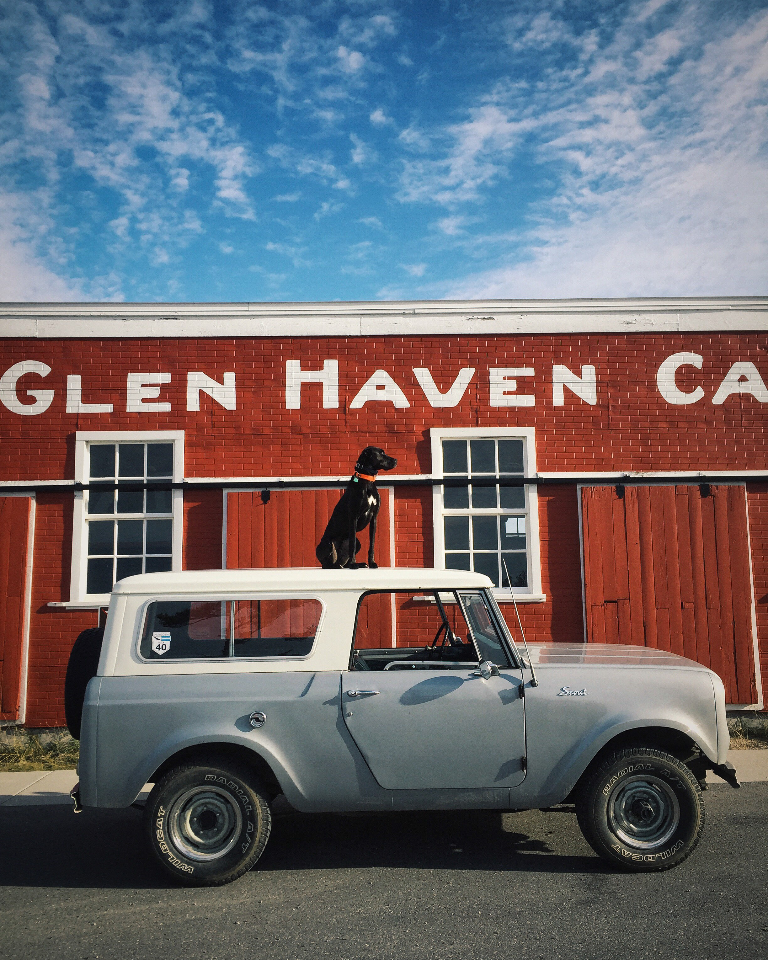 scout 800, international harvester, 4x4, truck, dog, glen arbor, michigan