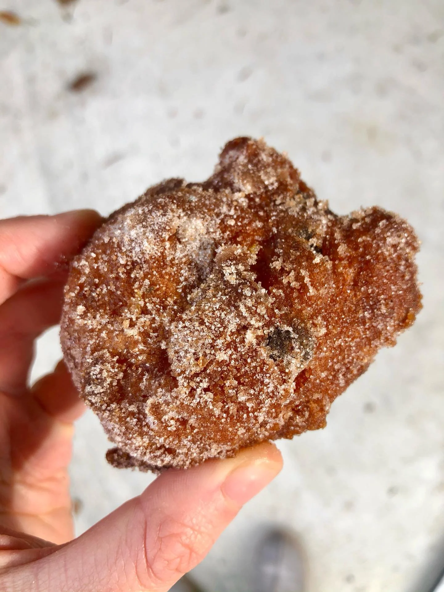 It&rsquo;s gonna be a BIG FUN SATURDAY with the 🎈 BLOCK PARTY 🎈returning to Paraparaumu for its third year! Come check out our little neck of the woods and all the cool neighbours we have!

🧡 OLIEBOLLEN will be back on the menu for the Block Party