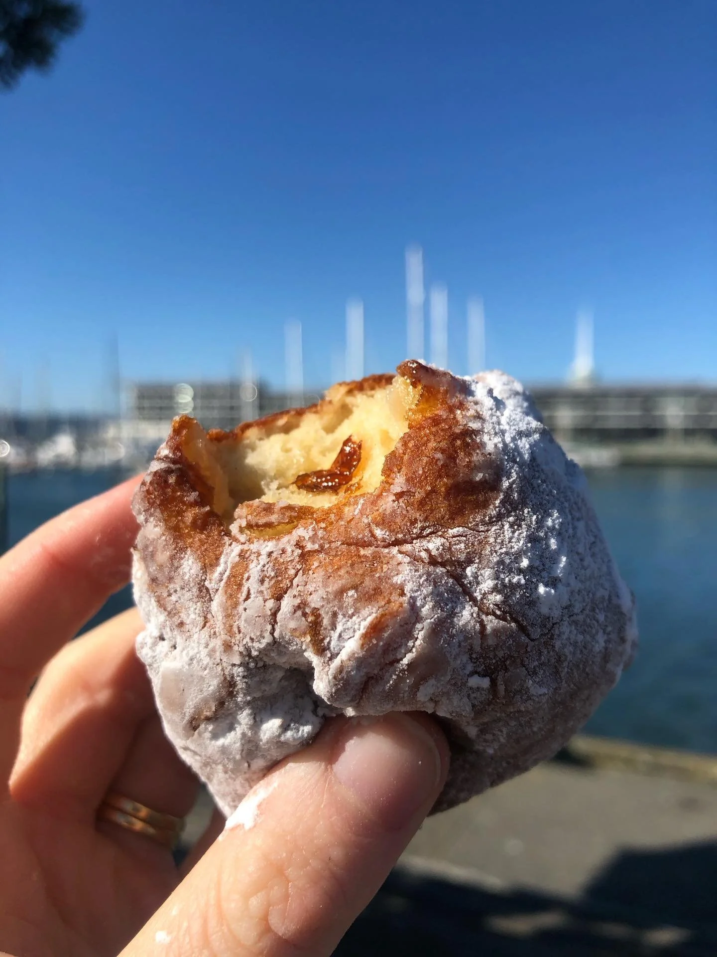 ✨First weekend of the month means it&rsquo;s OLIEBOLLEN WEEKEND! ✨

Saturday 9-12 on Sheffield St
Sunday 8.30 - 2 at the Harbourside Market

For those who are unfamiliar, they&rsquo;re Dutch donuts studded with apple &amp; raisins, fried till golden 