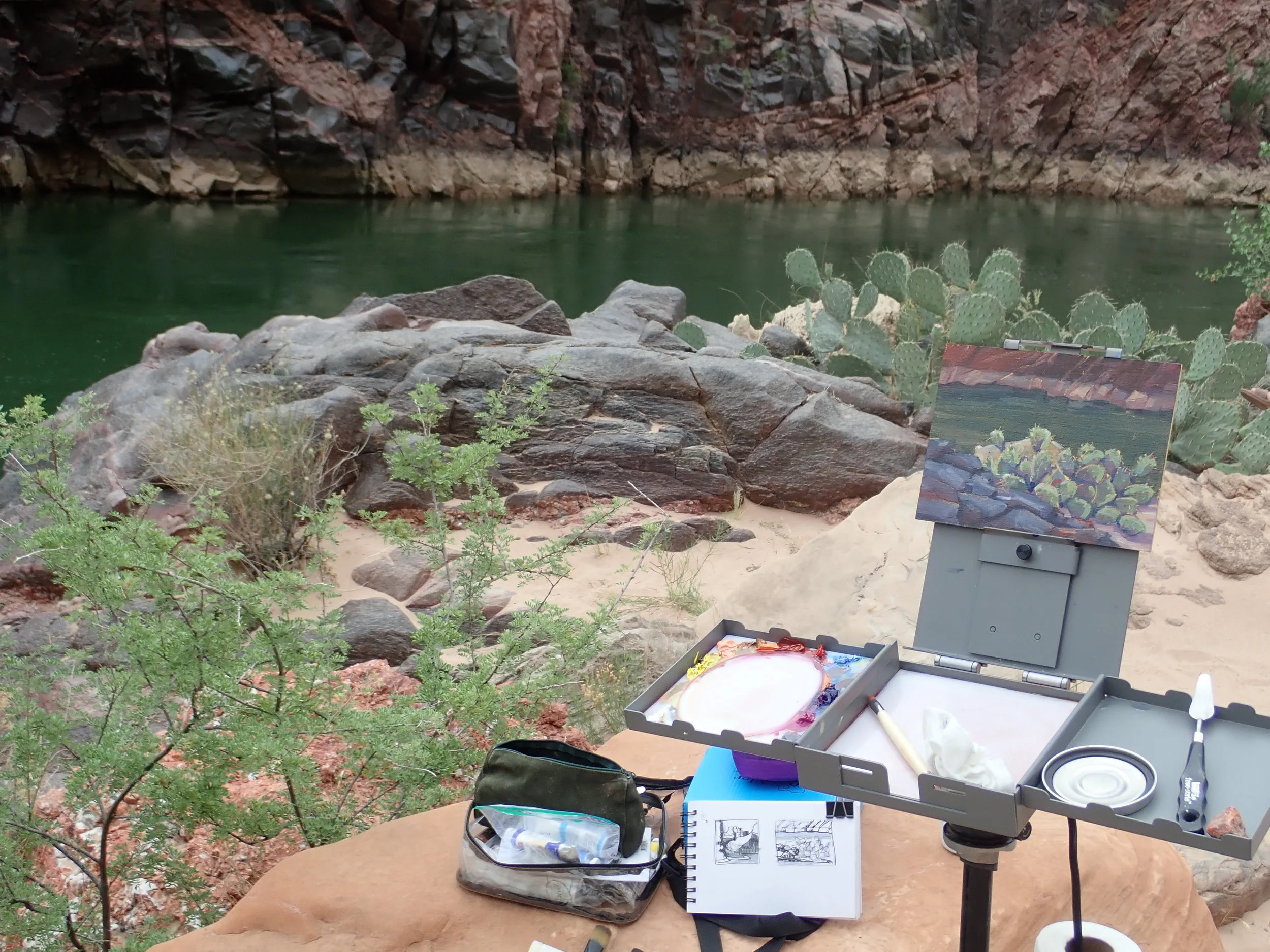 Strada Micro easel set up, WIP on a cactus painting. Lower Granite Camp, mile 115