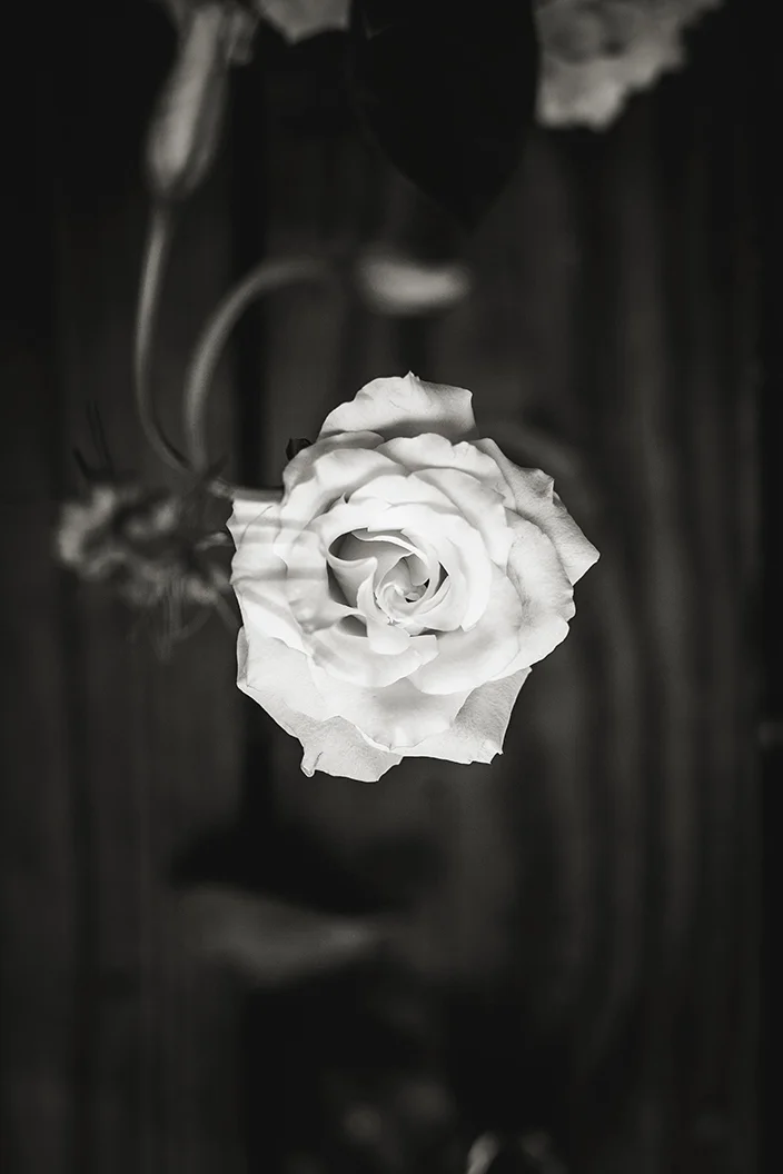 No_056_WardWedding_B&W.jpg