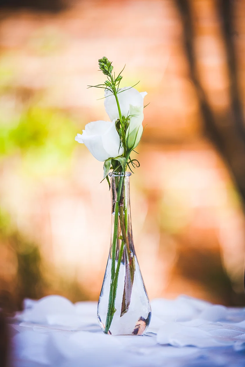 No_346_WardWedding.jpg