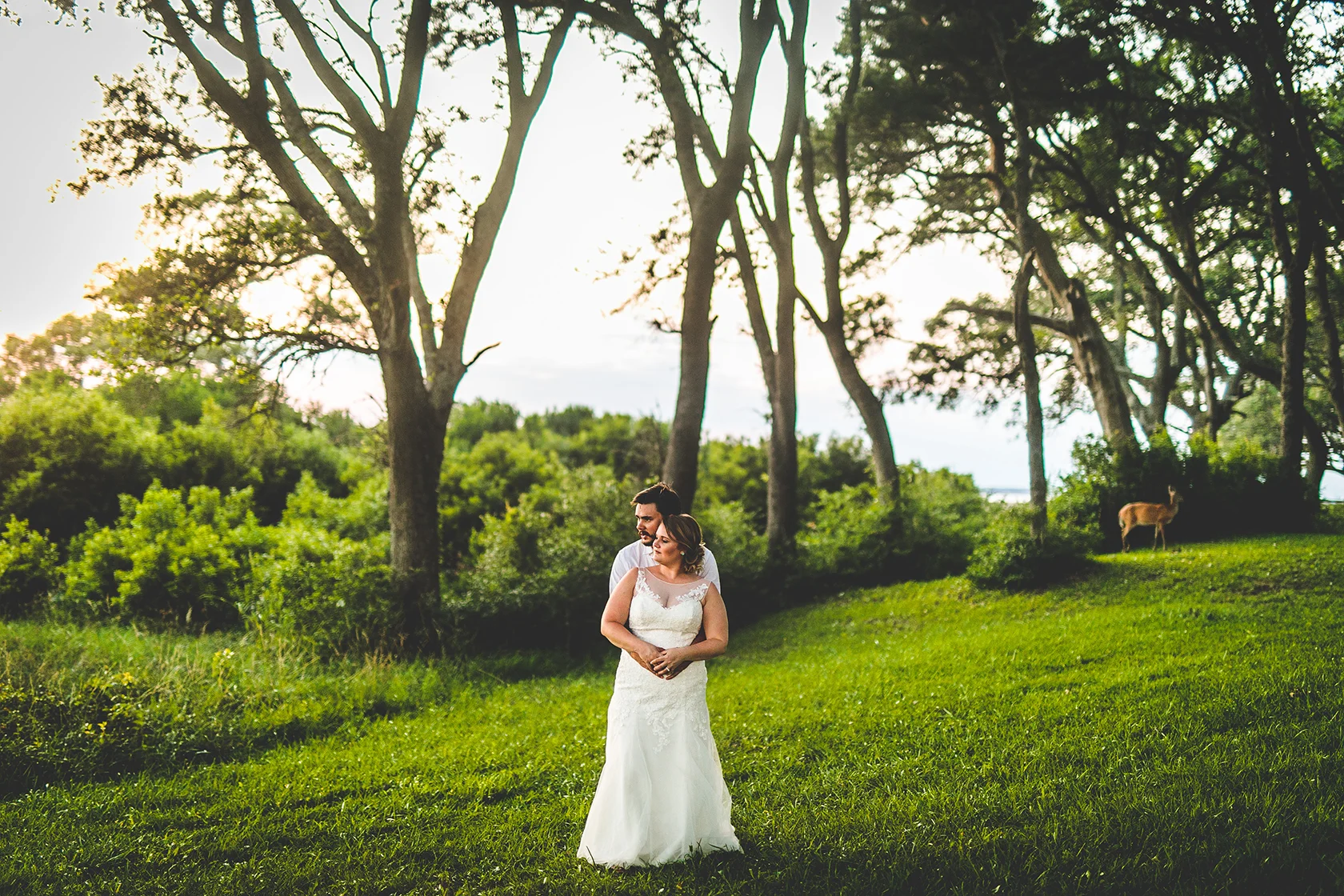 There's a deer over there.JPG