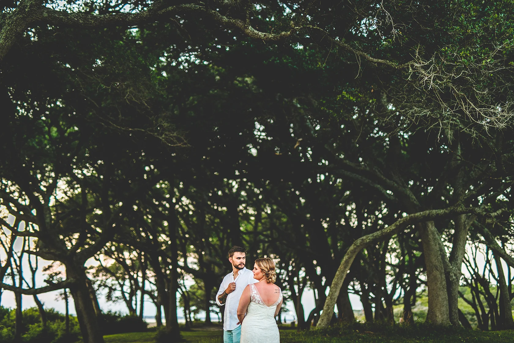 The Trees at Fort Fisher.JPG