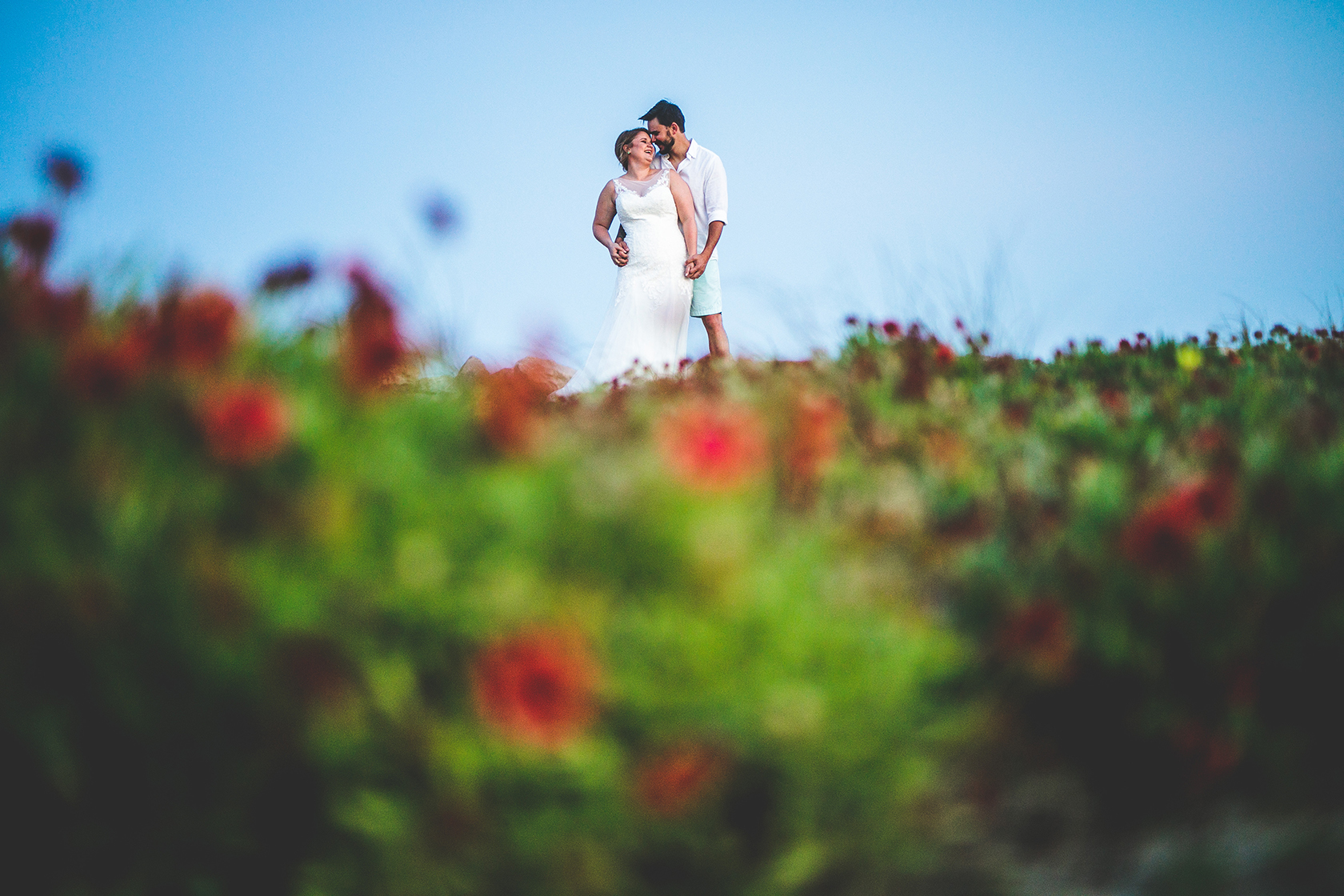 Flowers at Fort Fisher.JPG