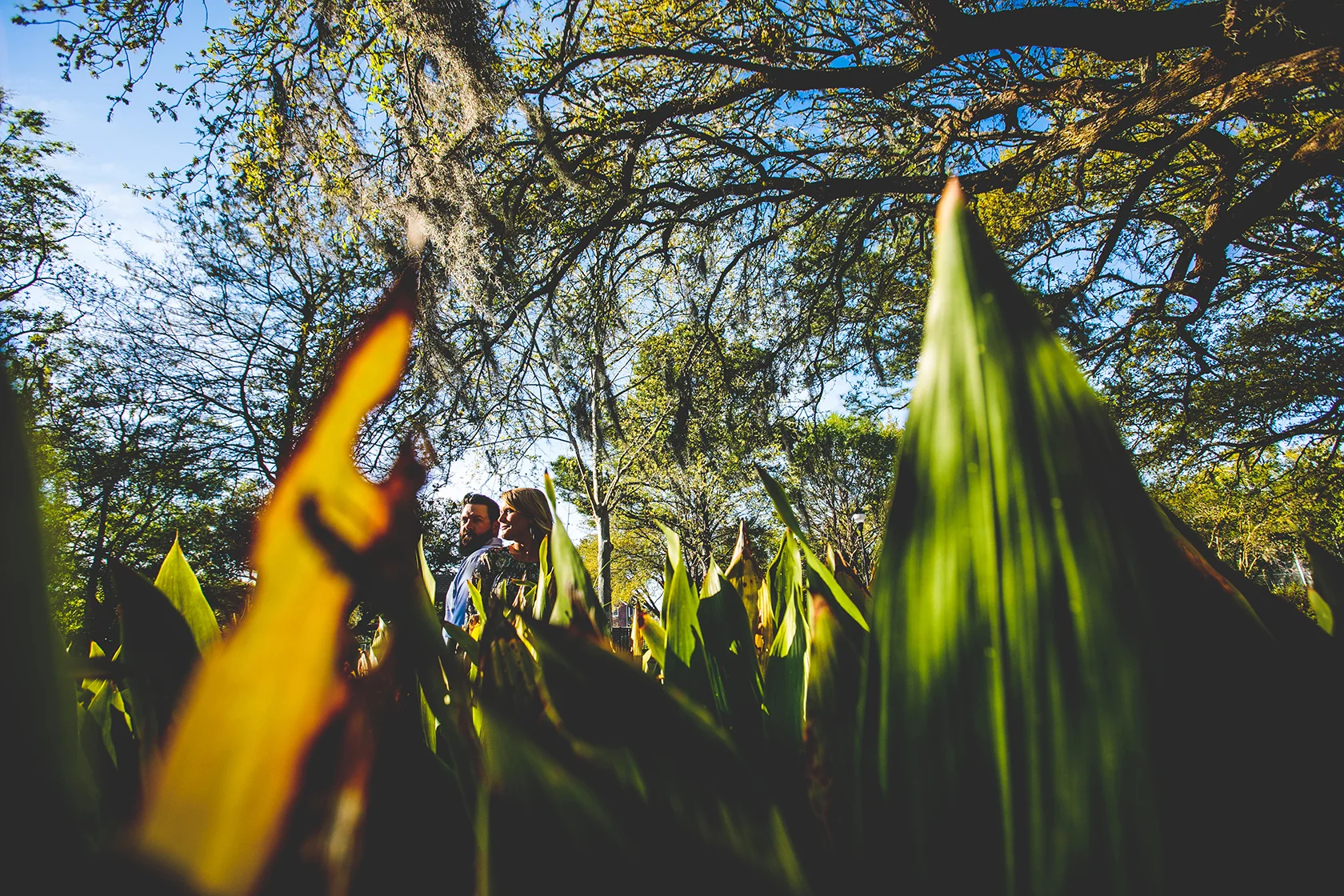North Carolina Wedding Photographer_1.JPG